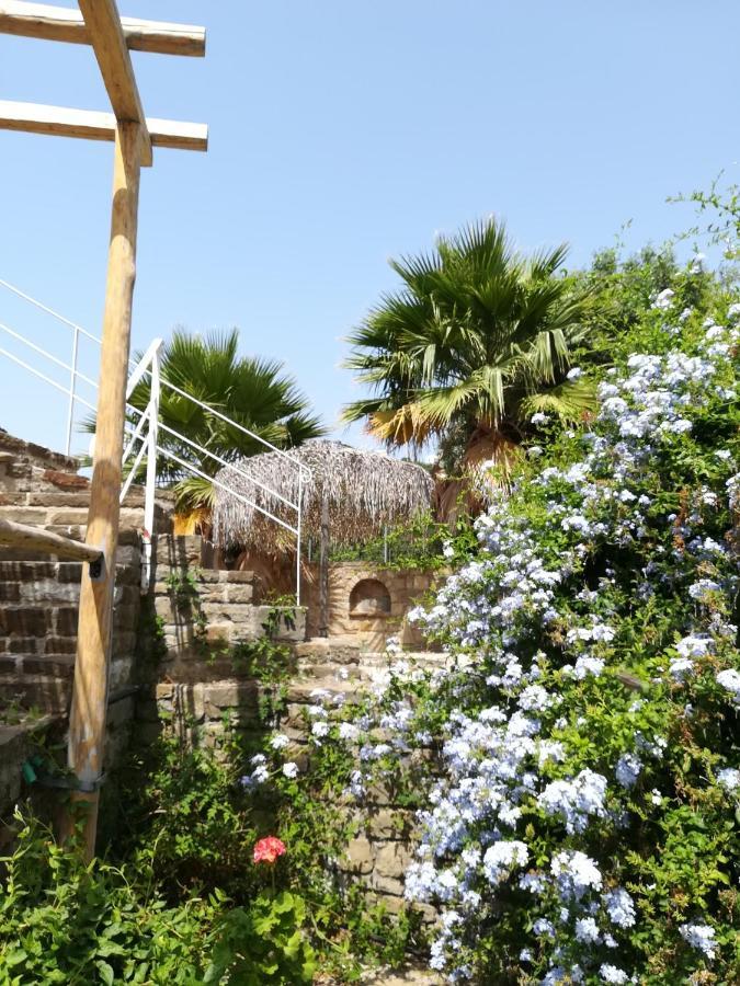 Lemon Tree Cottage Финикунда Екстериор снимка